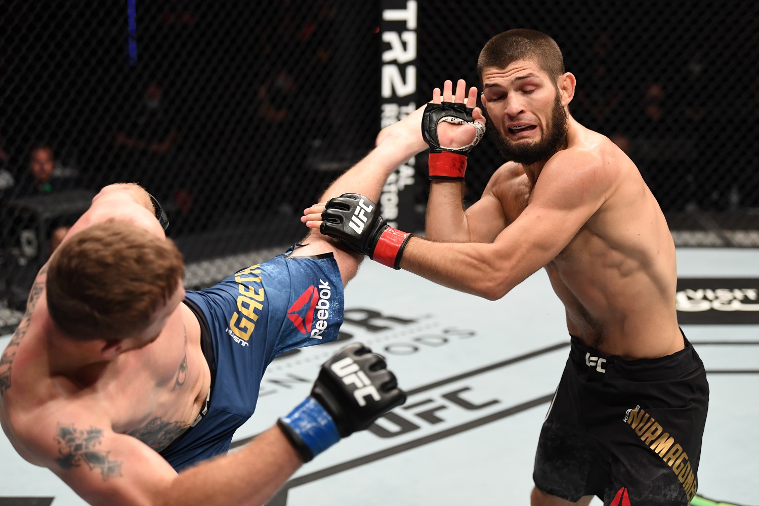 Khabib Nurmagomedov Hints He’s Kicking the UFC To the Curb in Favor of His Real Love