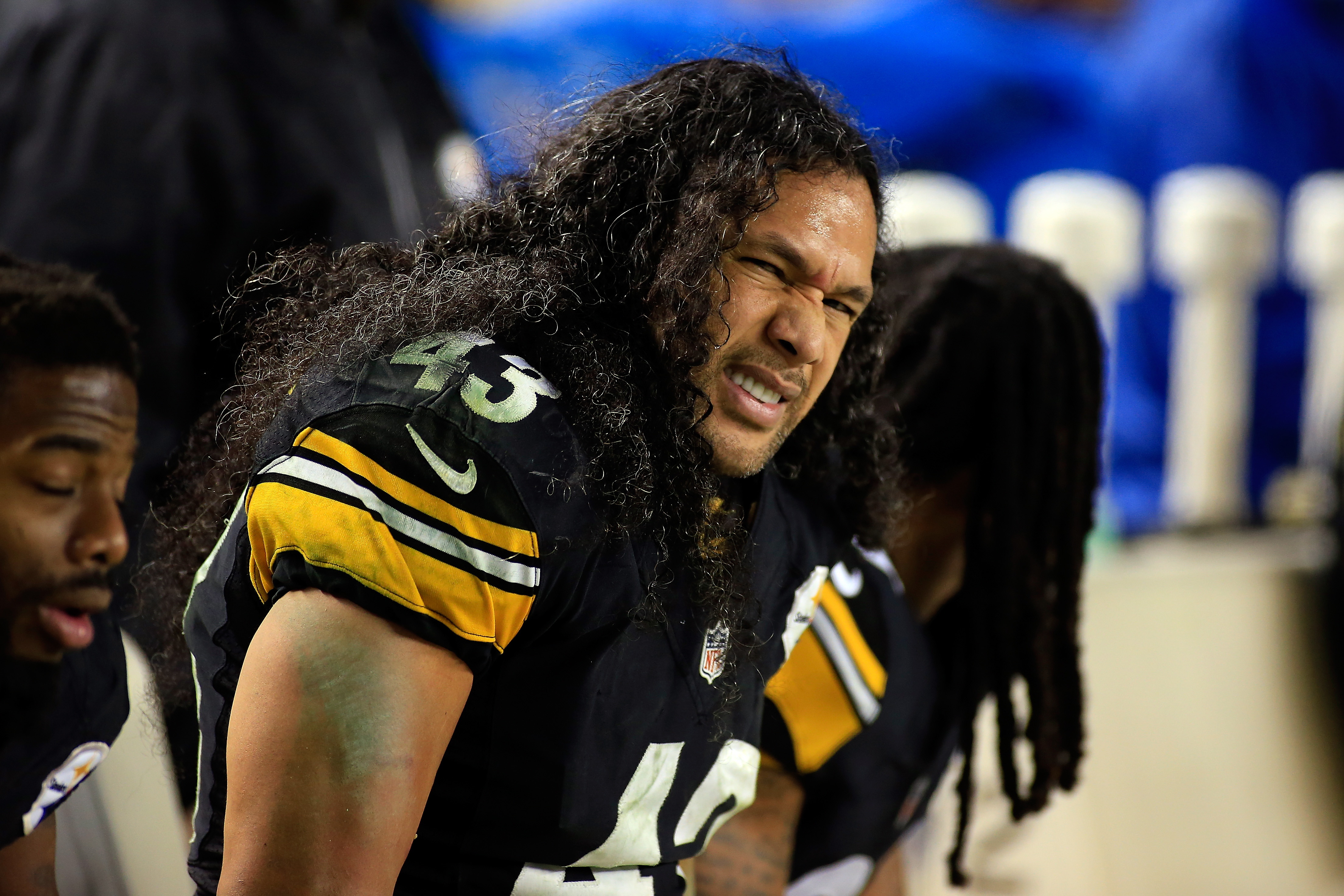 Troy Polamalu of the Pittsburgh Steelers looks on from the bench in 2015