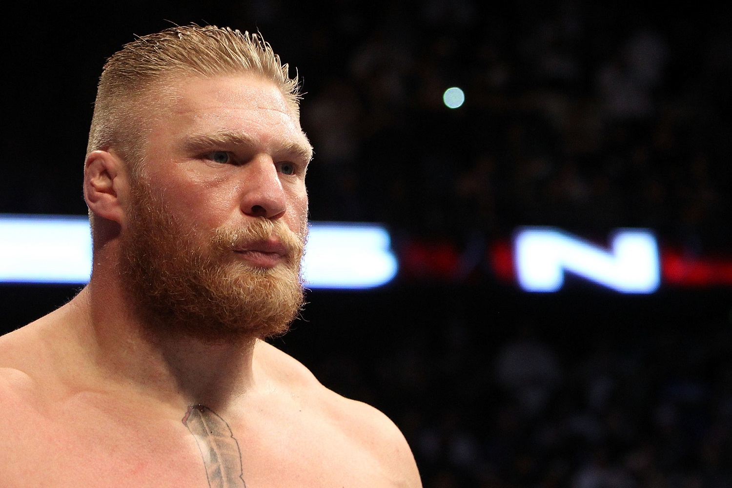 Brock Lesnar was a major attraction in the WWE and the UFC