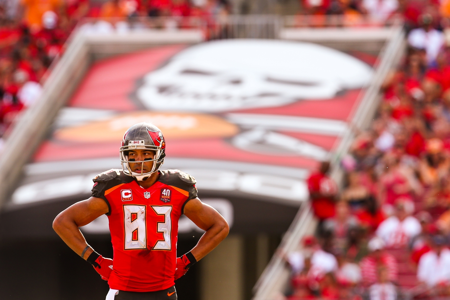Vincent Jackson of the Tampa Bay Buccaneers looks on during the game against the Atlanta Falcons at Raymond James Stadium on December 6, 2015 in Tampa, Florida.
