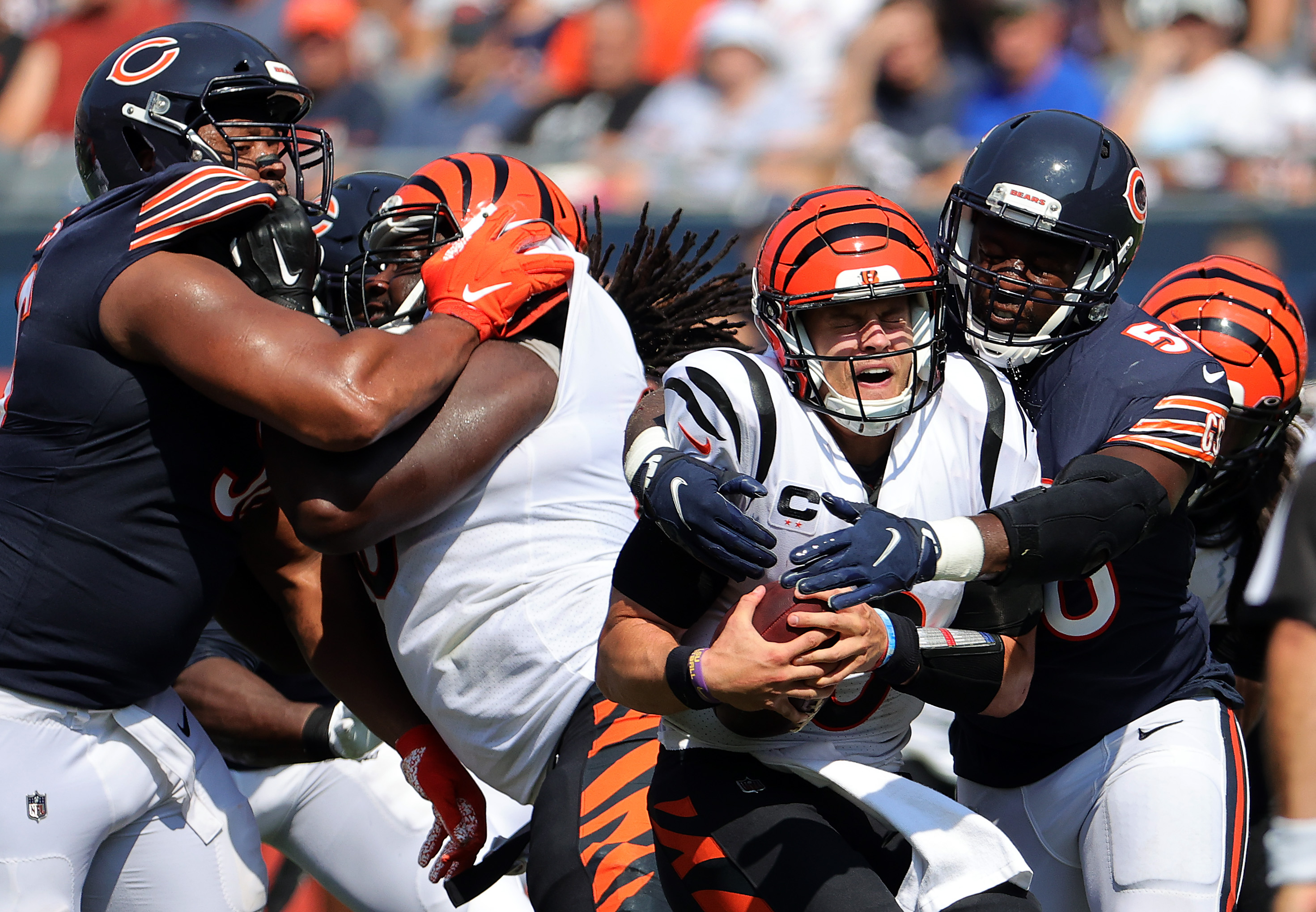 Bengals quarterback Joe Burrow getting sacked by Bears defenders