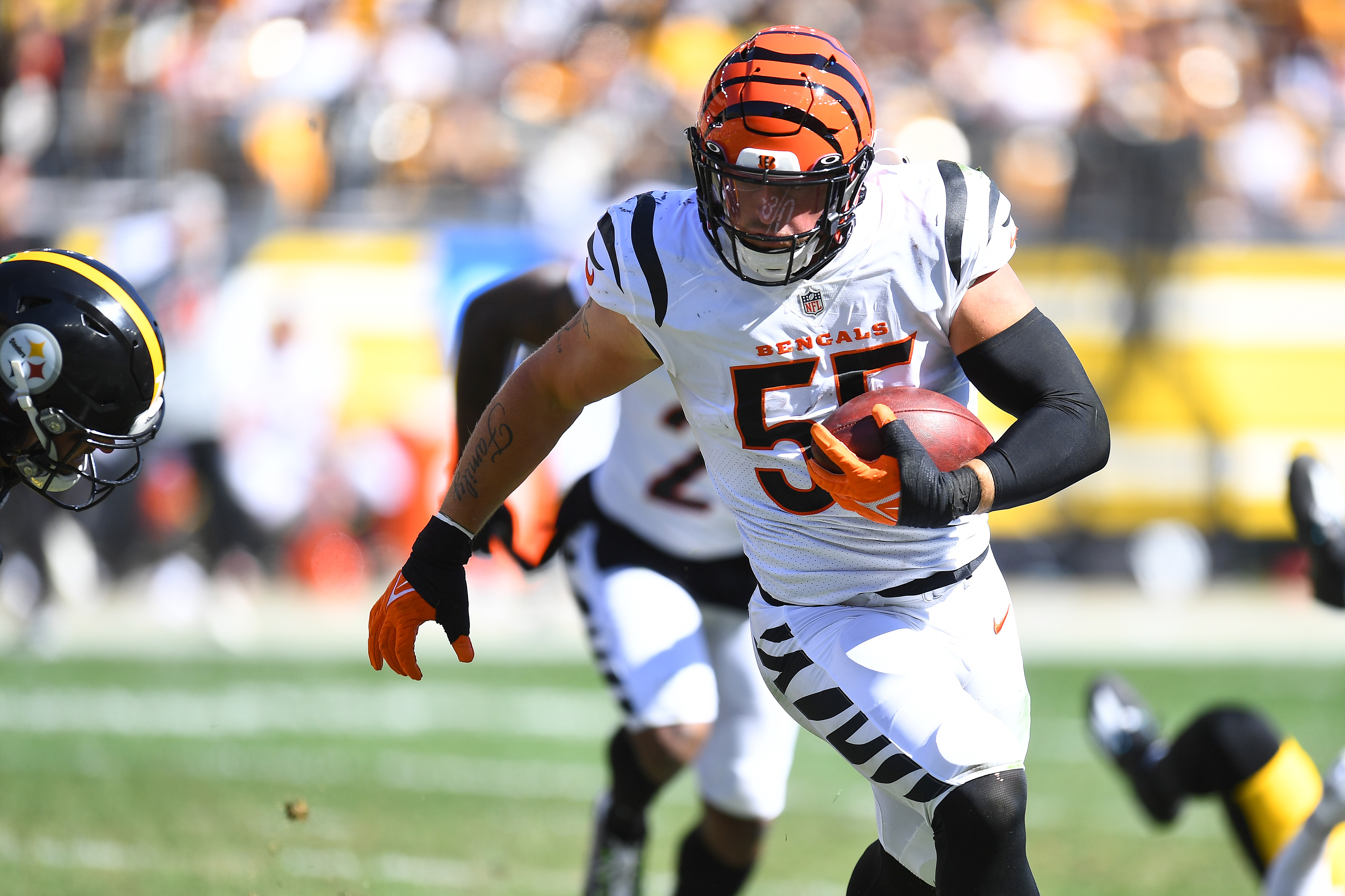 Cincinnati Bengals linebacker Logan Wilson makes an interception.