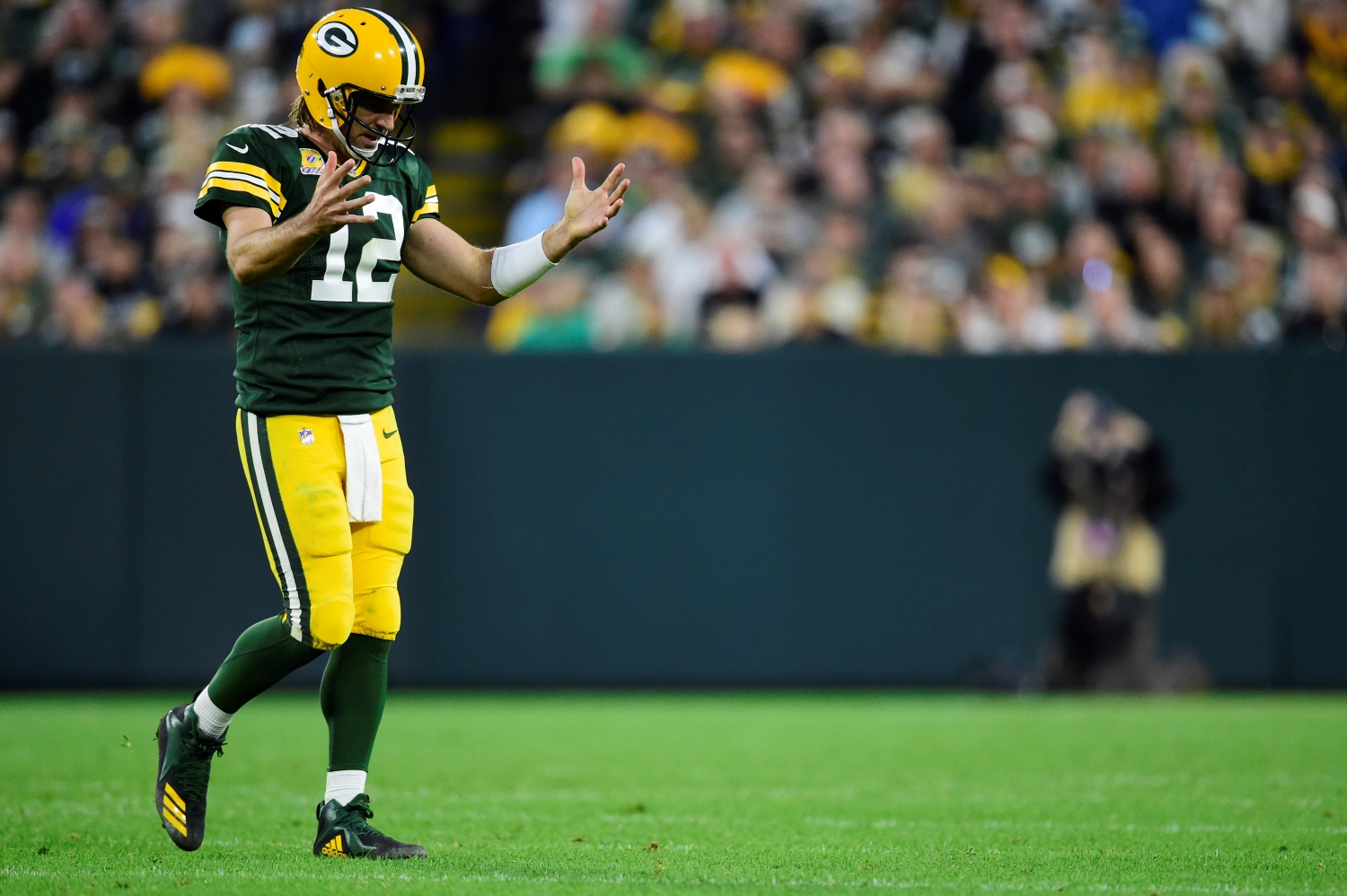 Green Bay Packers quarterback Aaron Rodgers reacts after an incomplete pass against the Pittsburgh Steelers.