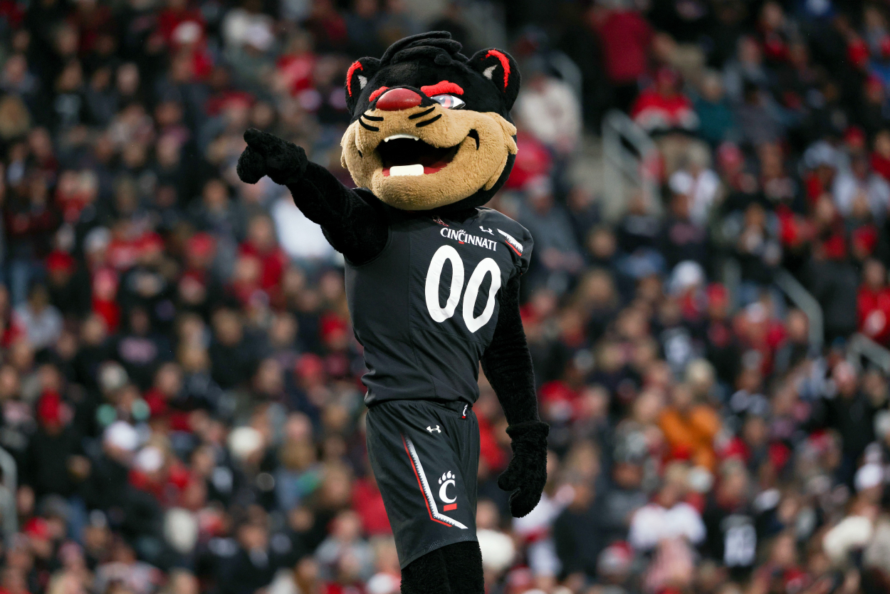 The Cincinnati Bearcats mascot at a football game in 2021.