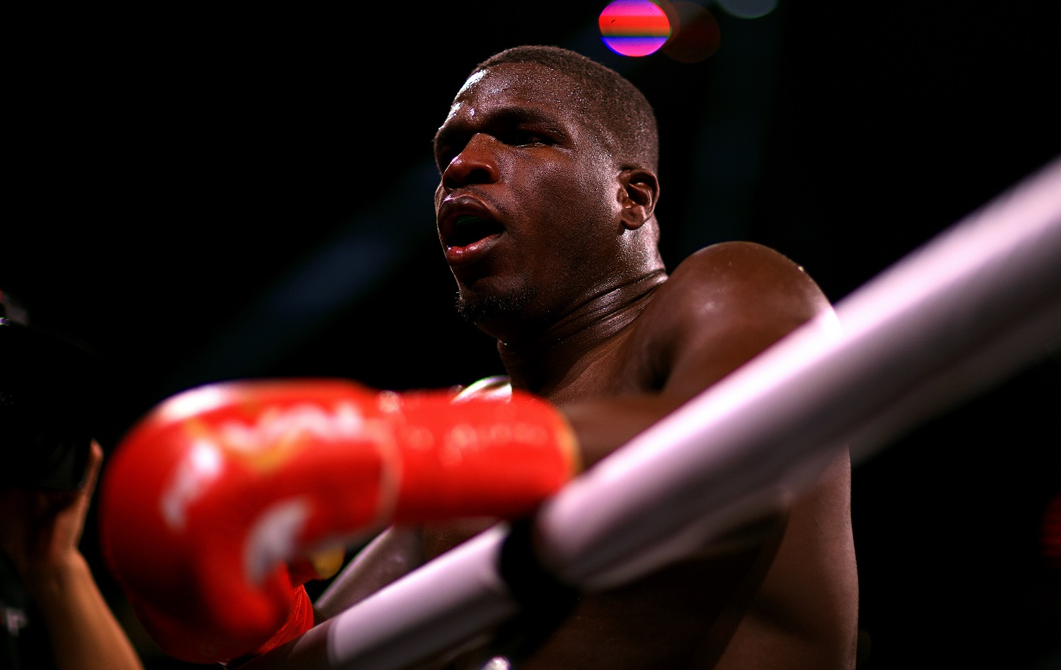 Frank Gore during a fight against Deron Williams on Dec. 18, 2021, in Tampa, Florida. | Mike Ehrmann/Getty Images
