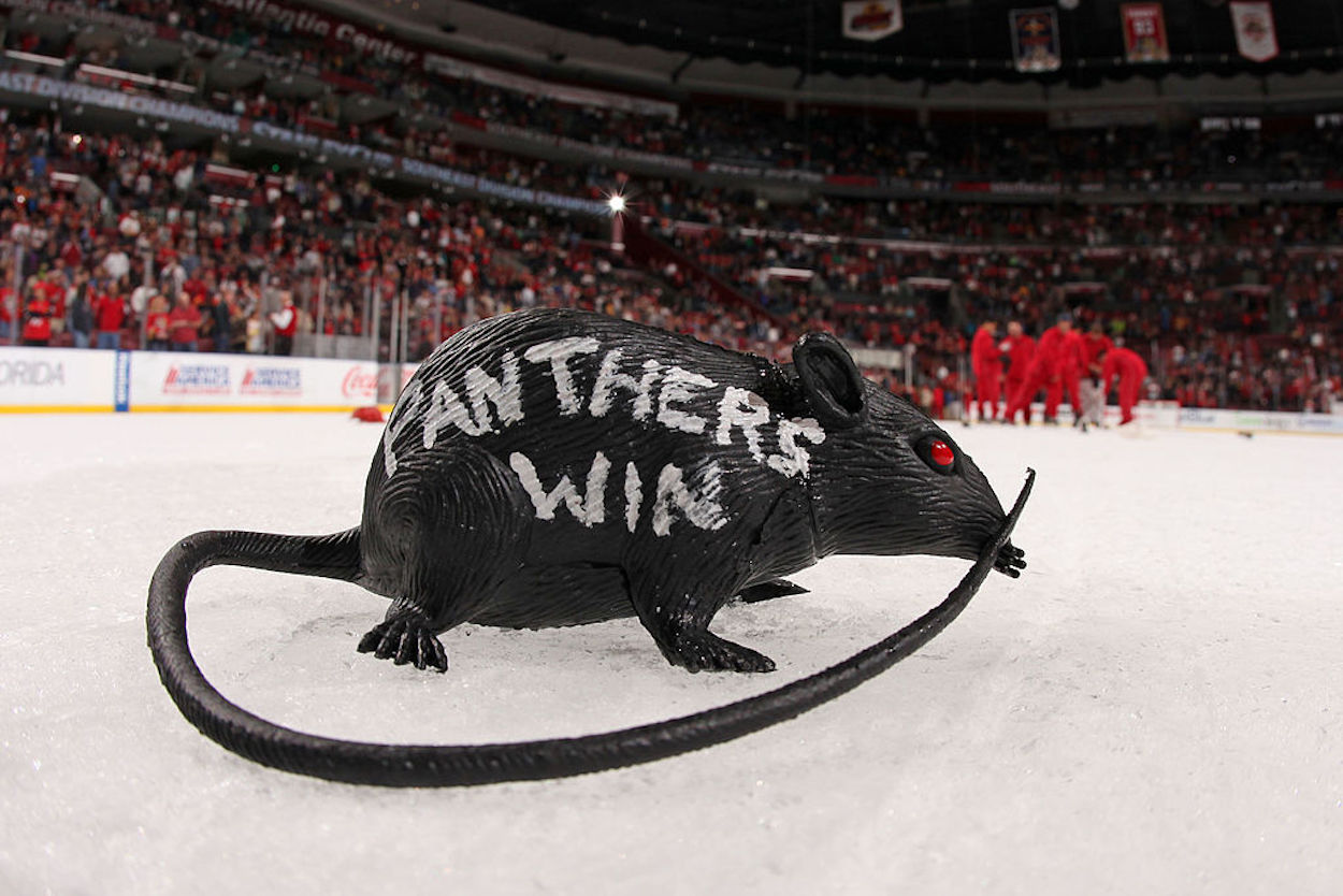 A plastic rat on the ice after a Florida Panthers hockey game.