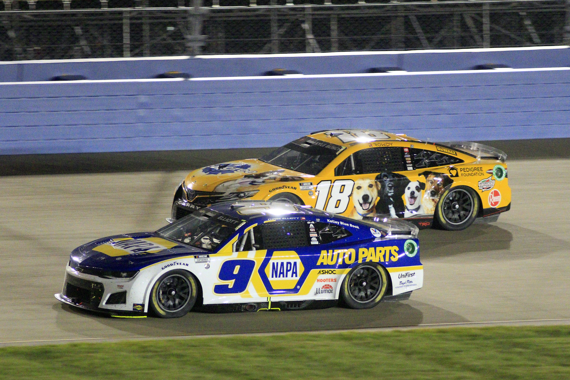 Chase Elliott races with Kyle Busch