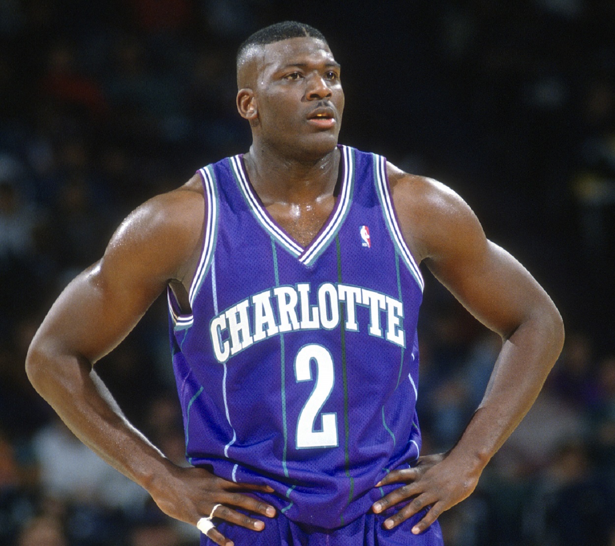 Larry Johnson with the Charlotte Hornets in 1995