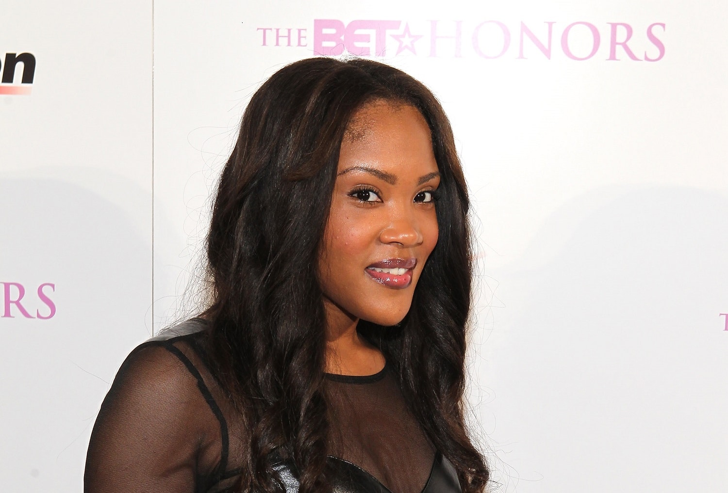 Tia Norfleet attends BET Honors 2013: Debra Lee Pre-Dinner - Red Carpet at The Library of Congress on Jan. 11, 2013, in Washington, D.C.