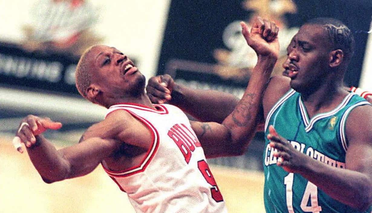 Dennis Rodman, Anthony Mason, Charlotte Hornets, Chicago Bulls