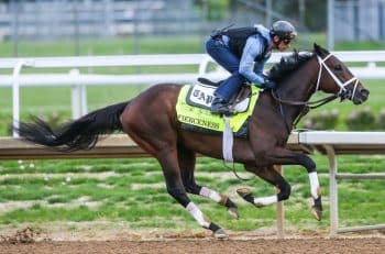 Kentucky Derby Purse, Betting Reaches All-Time High Run of the Roses