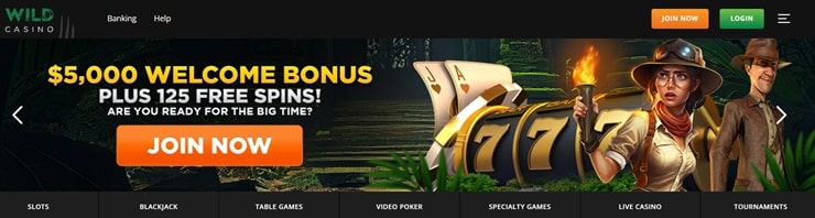 online casinos Wild Casino top rated online casino site