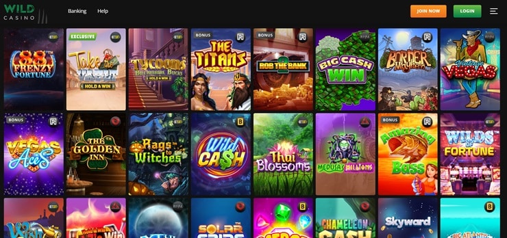 wild casino games