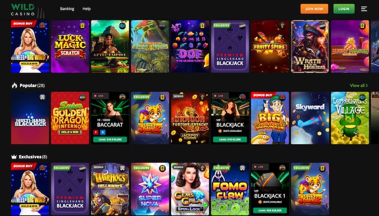 Wild Casino homepage - The best cash app casino