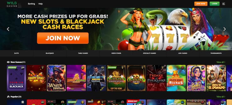 Wild Casino is the best gambling site in the US