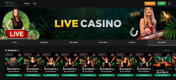 Wild Casino bonus codes - Wild Casino live casino page