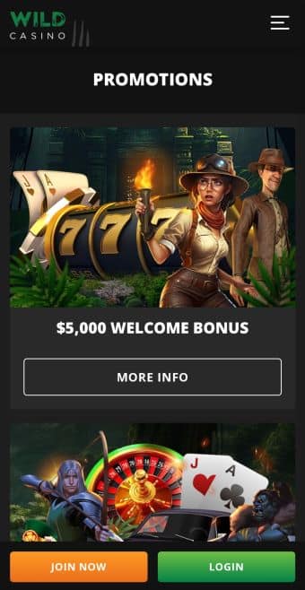 Wild Casino Promos