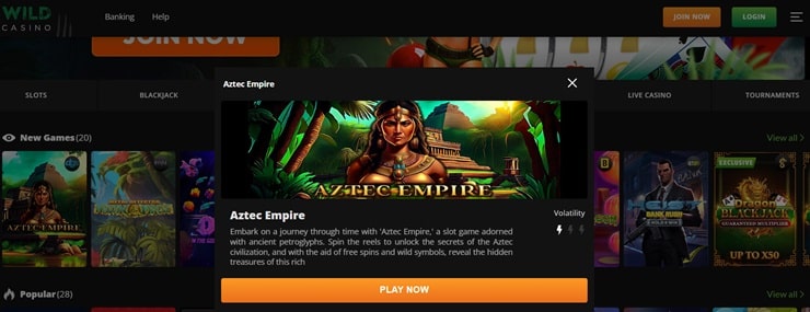 wild casino play a game