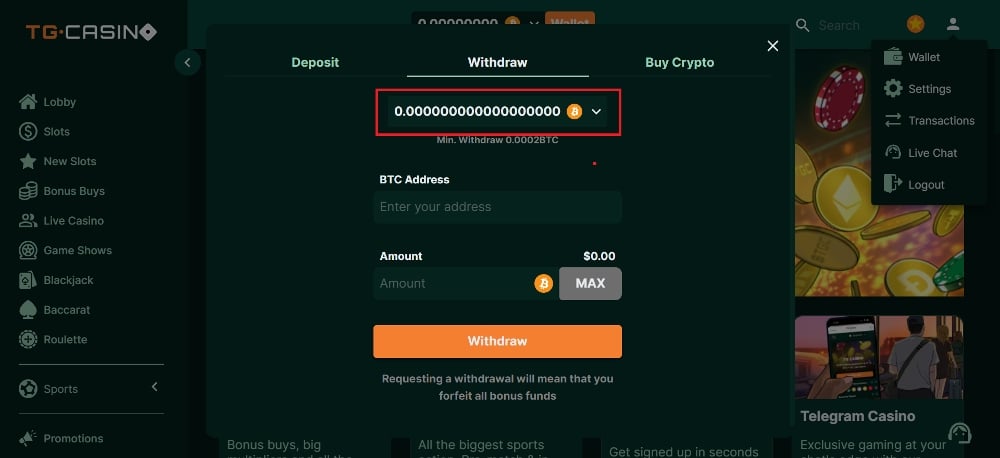 step 2 - click on coin type at TG Casino