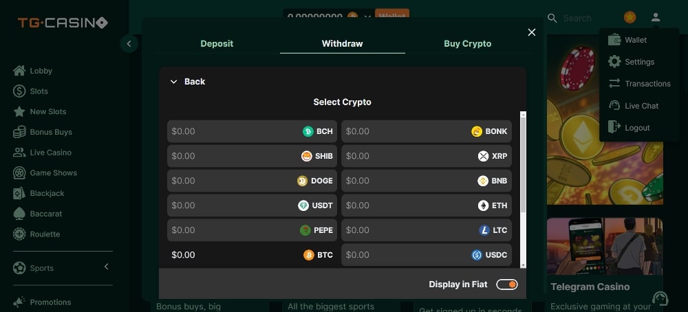 step 3 - select payment method at TG Casino