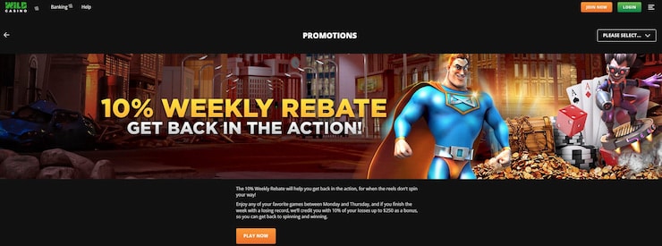 Wild Casino bonus codes - Wild Casino 10 % weekly rebate bonus 