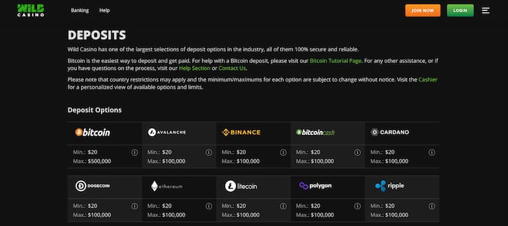 Wild Casino deposits page
