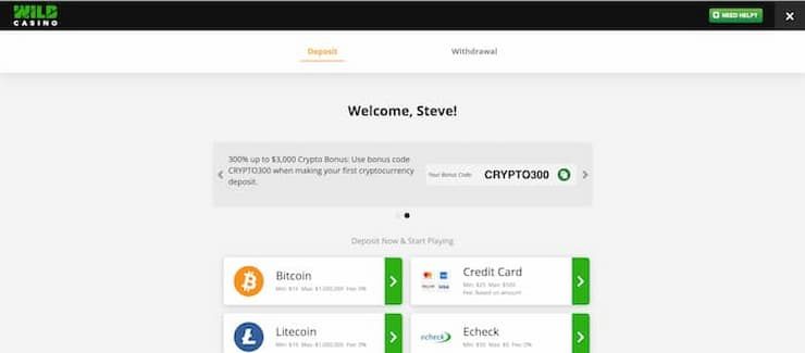 Make a deposit at Wild Casino