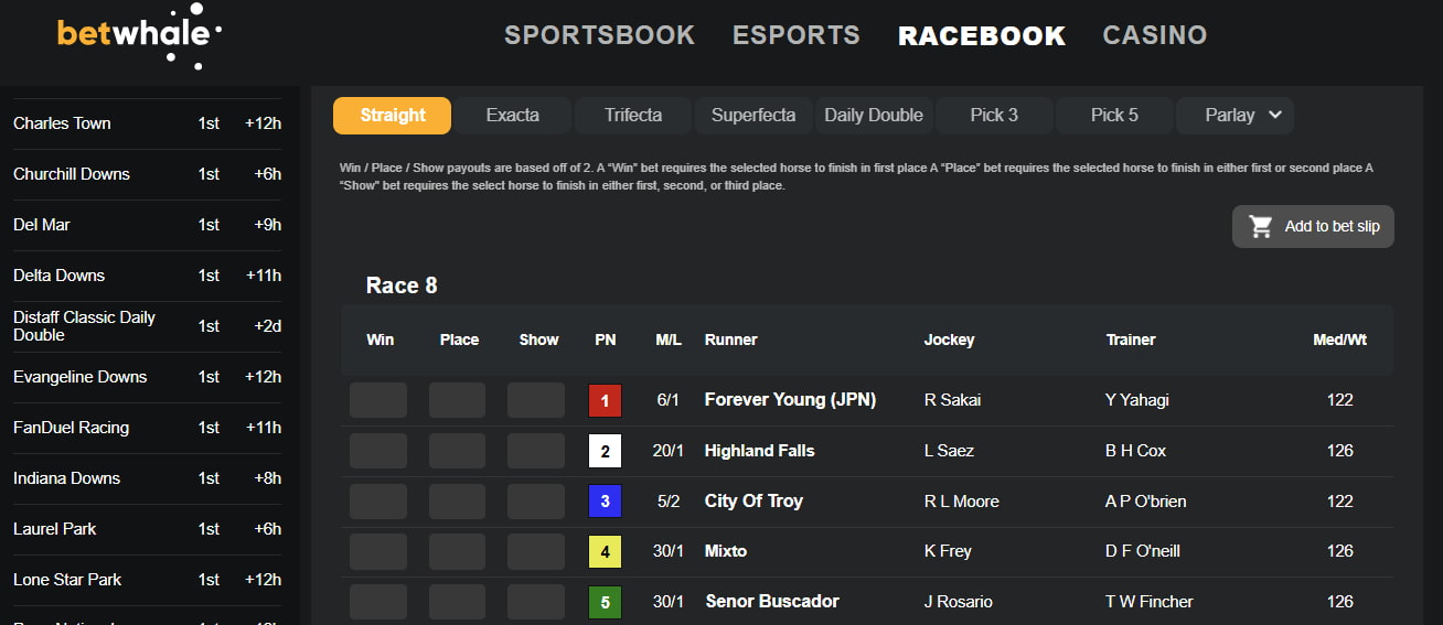 horse racing betting sites betwhale breeders cup