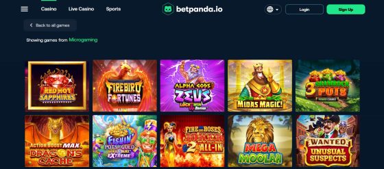 Betpanda slots games section