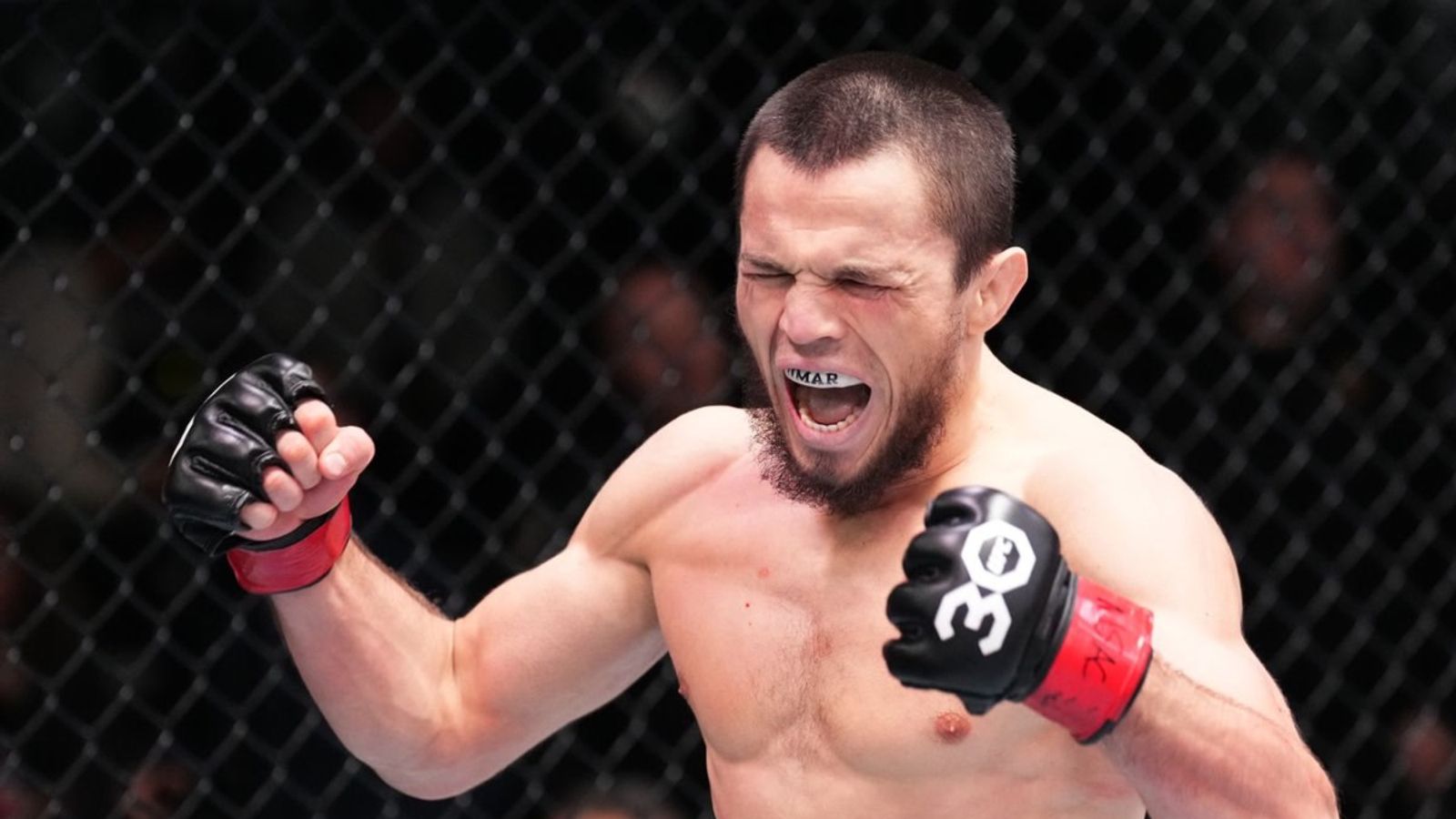 Umar Nurmagomedov Wants January Title Bout Against Merab Dvalishvili at UFC  311