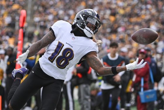 Baltimore Ravens wide receiver Diontae Johnson (18).