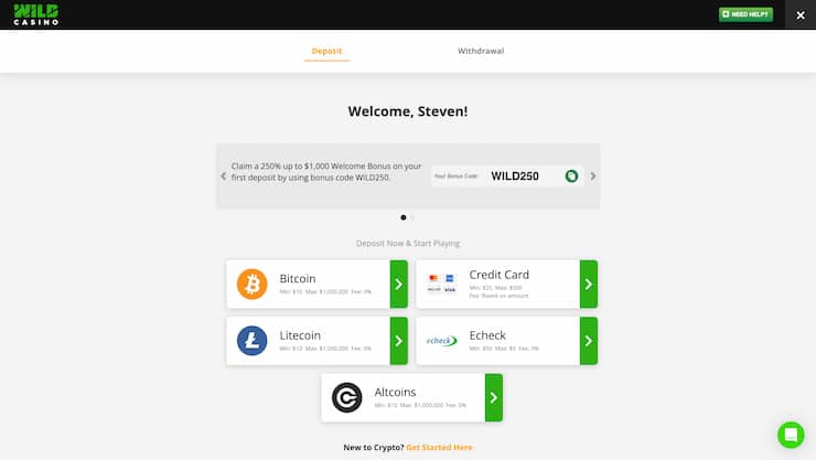 The Wild Casino cashier page