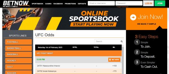 BetNow - one of the best New Hampshire sports betting