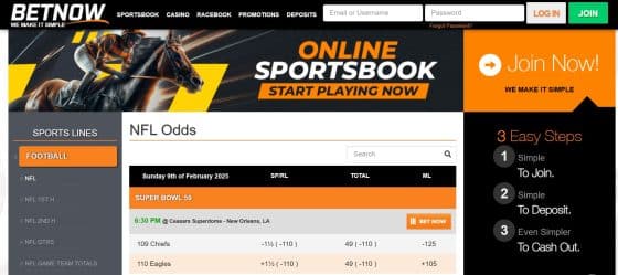 BetNow - one of the best Super Bowl betting sites in the US