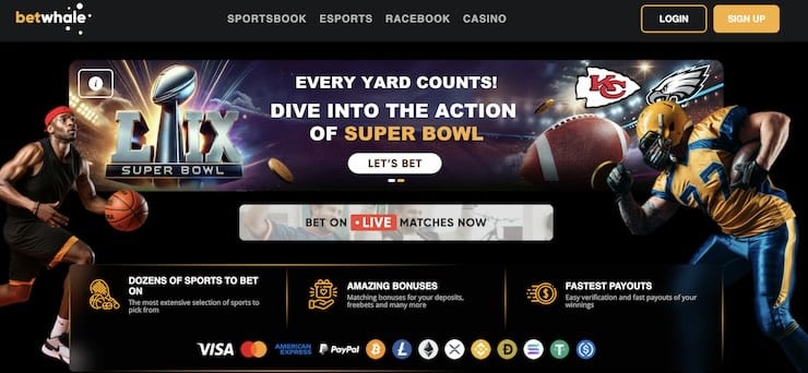 Betwhale is a leading sportsbook accepting many cryptos in indiana