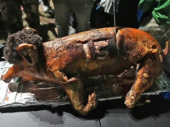 Philadelphia Eagles Fans Serve 'Patrick Mahomes-Themed' Pig At Super Bowl Parade