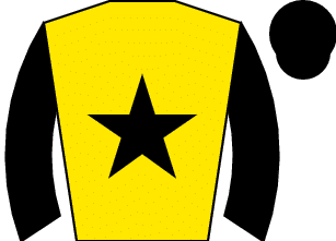 Kentucky Derby 2025: Horse and Jockey Colors & Silks Guide