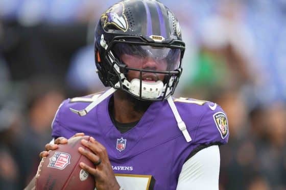 Baltimore Ravens quarterback Josh Johnson holds the ball.
