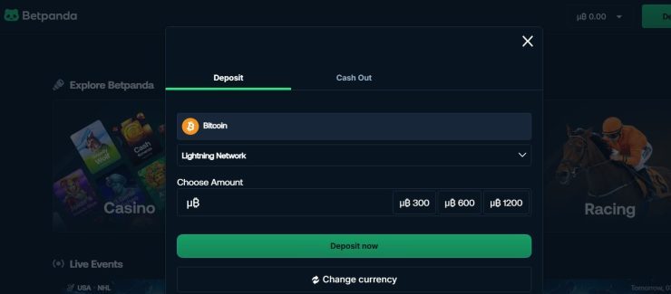 betpanda deposit funds