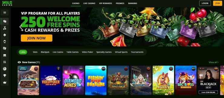 wild casino slot machines