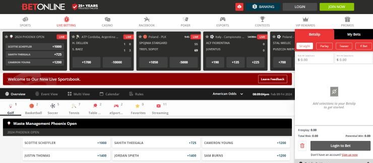 BetOnline - Washington DC sports betting site with crypto payments