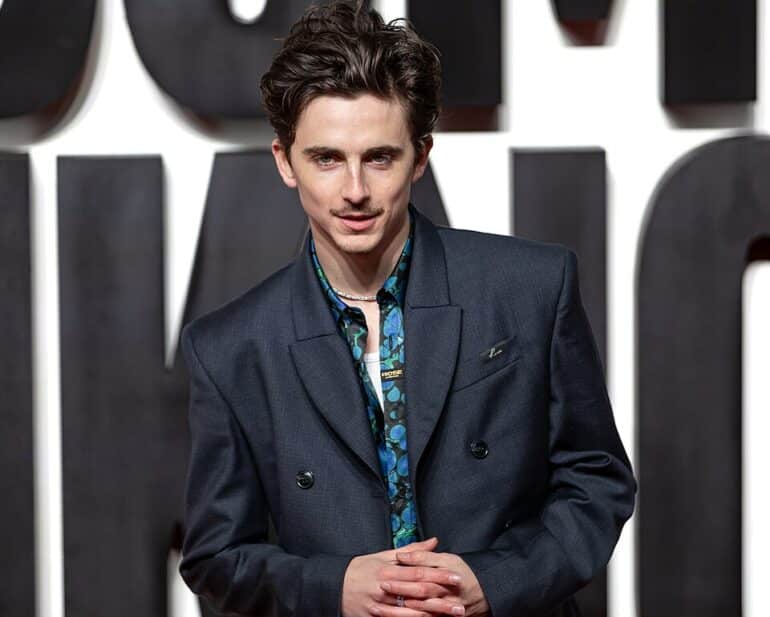 Timothée Chalamet clasps his hands together.