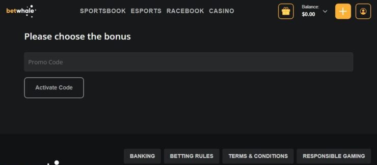 A snapshot of how to enter a promo code at BetWhale