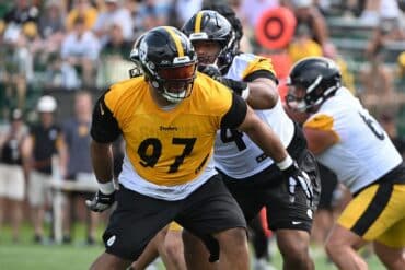 Pittsburgh Steelers defensive tackle Cameron Heyward stands on the line.