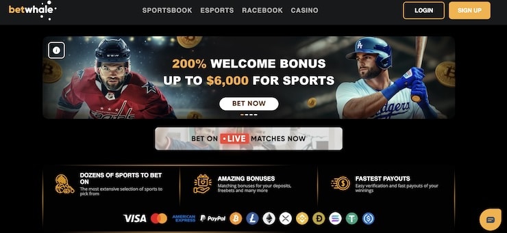 BetWhale is offering the biggest NFL betting bonus for the 2025 NFL season. Only an email is needed to sign up but fans can cash in on competitive NFL odds, bonuses and more