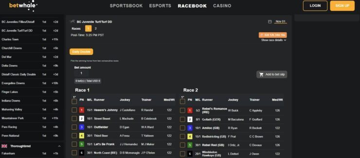 BetWhale horse racing odds