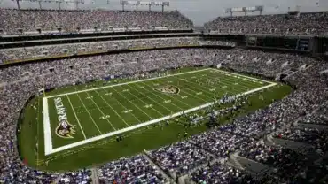 Tickets Prices For Baltimore Ravens Week 5 Game Drop By 50%