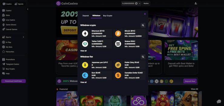 a preview of the crypto wallet at CoinCasino