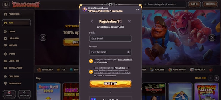 Step 2: Fill in your registration code and confirm your promo code