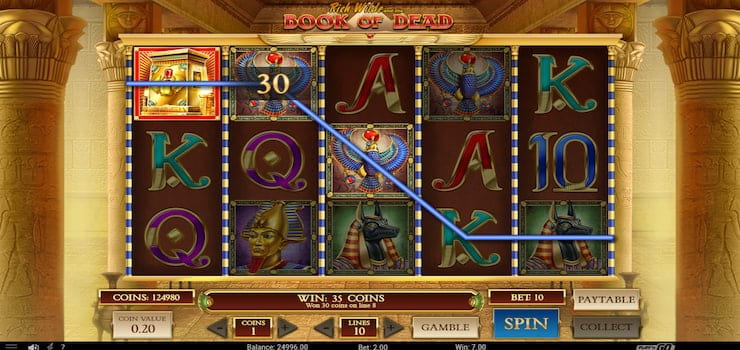 A look at a winning combination that includes a Wild symbol when playing Book of Dead